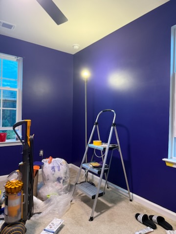 DIY Nursery Project